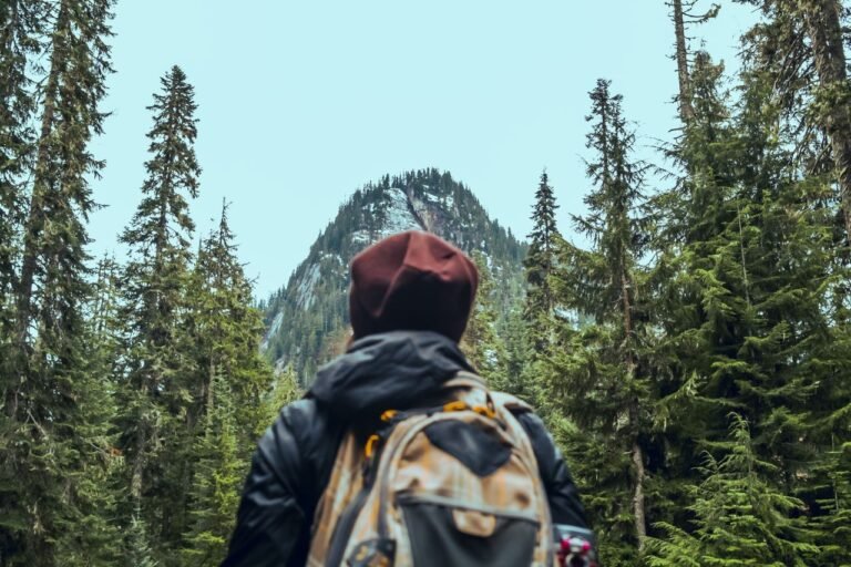 A hiker with backpack looking at a forested mountain peak, symbolizing adventure.
